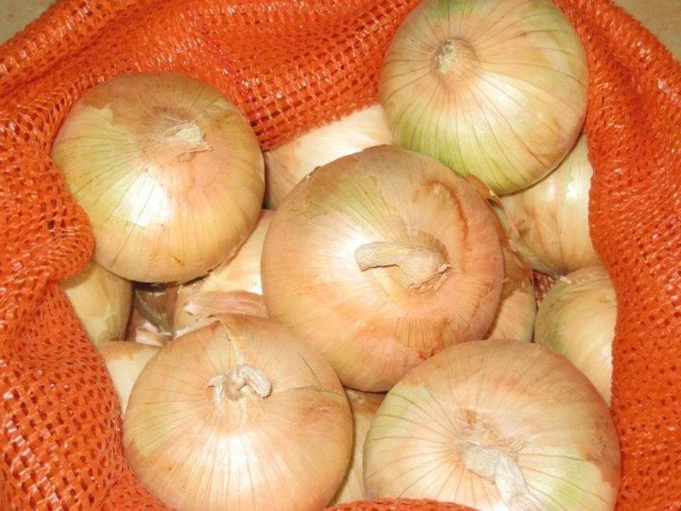 Product image -  Green Point Company  have all kind of  Fresh Fruits and Fresh Vegetables with good quality, good price and good delivery. Varieties: 
 Red Onion Sizes: 50-70/60-80/80-100 and up 
Yellow Onion [Golden onion] Sizes: 50-70/60-80/80-100 and up.

Packing : 25 kg mesh pages

 Price: Very Competitive Price​
 Delivery Terms: FOB, CNF, CIF 
Delivery Time: 7 days after receiving the advance
Email : nehal.greenpoint@gmail.com
